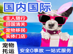 富蕴可可托海航空物流国际宠物托运 【国